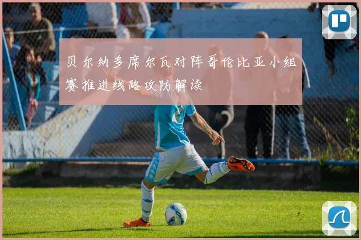 贝尔纳多席尔瓦对阵哥伦比亚小组赛推进线路攻防解读