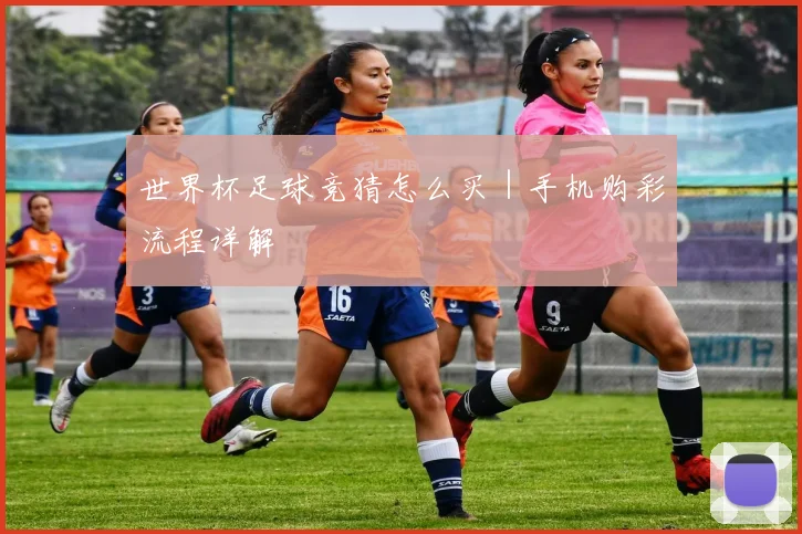 世界杯足球竞猜怎么买｜手机购彩流程详解