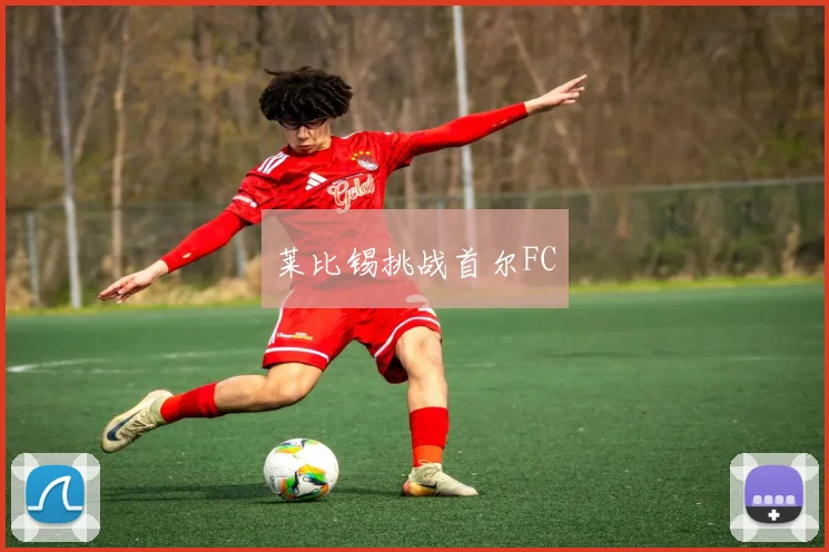 莱比锡挑战首尔FC