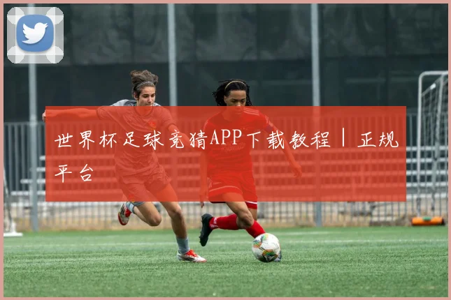 世界杯足球竞猜APP下载教程｜正规平台