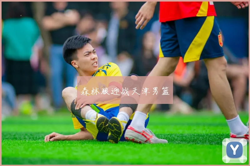 森林狼迎战天津男篮