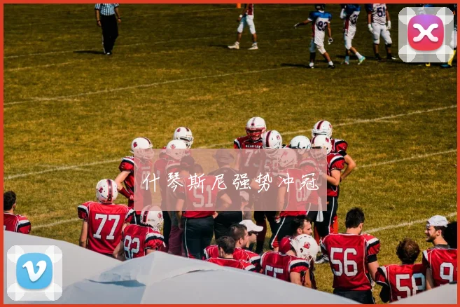 什琴斯尼强势冲冠