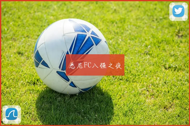 悉尼FC八强之夜