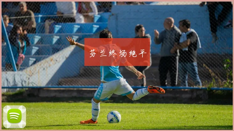 芬兰终场绝平