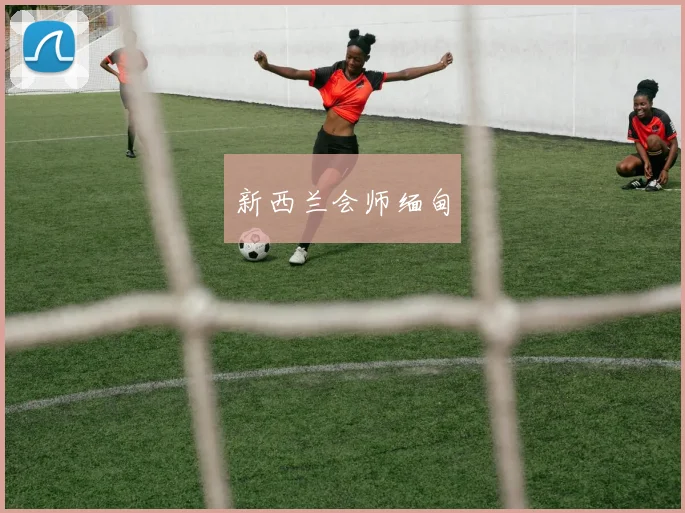 新西兰会师缅甸
