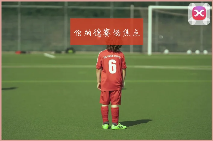伦纳德赛场焦点