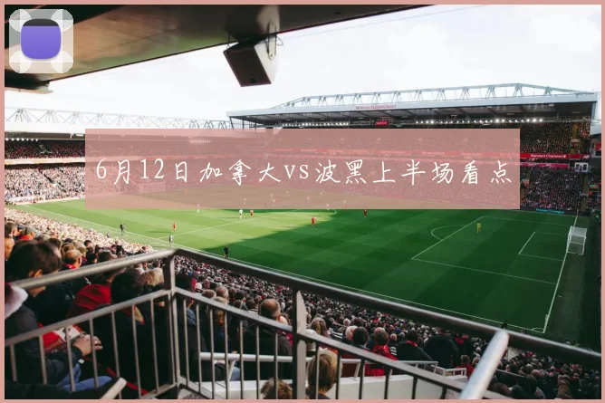 6月12日加拿大vs波黑上半场看点