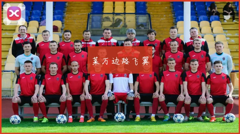莱万边路飞翼