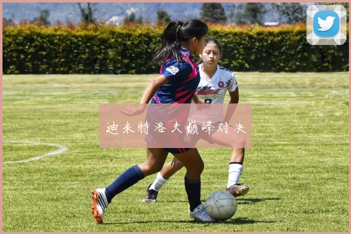 迪米特洛夫巅峰对决