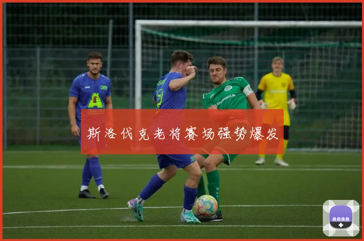 斯洛伐克老将赛场强势爆发
