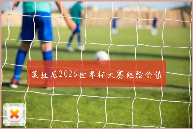 莱杜尼2026世界杯大赛经验价值