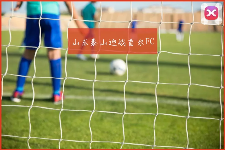 山东泰山迎战首尔FC