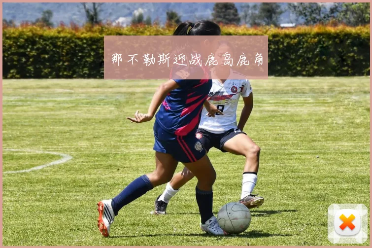 那不勒斯迎战鹿岛鹿角