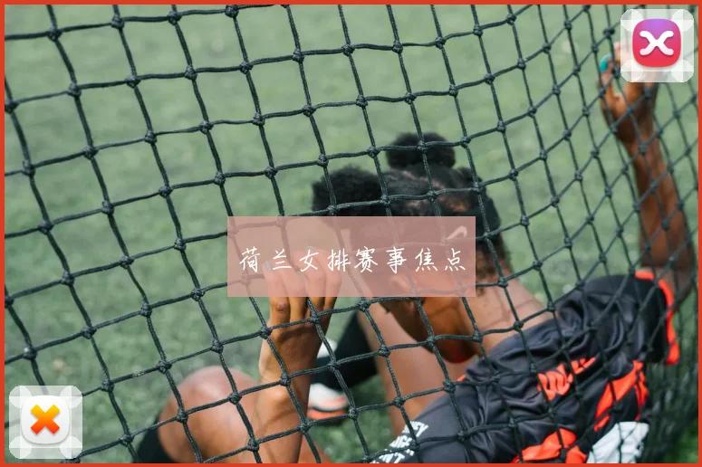 荷兰女排赛事焦点