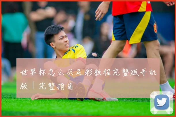 世界杯怎么买足彩教程完整版手机版｜完整指南