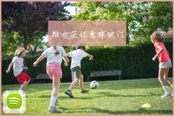 维尔茨任意球破门