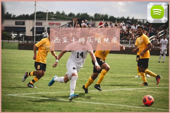 西亚卡姆压哨绝杀