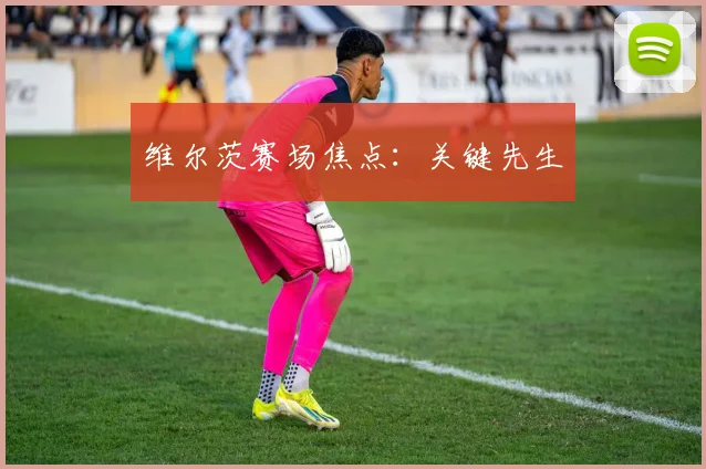 维尔茨赛场焦点：关键先生
