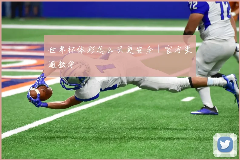 世界杯体彩怎么买更安全｜官方渠道教学