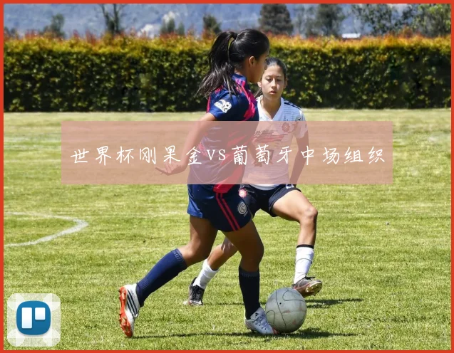 世界杯刚果金vs葡萄牙中场组织